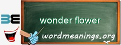 WordMeaning blackboard for wonder flower